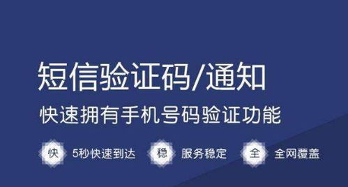 短信霸屏代理 引爆商機(jī)，搶占營(yíng)銷新藍(lán)海