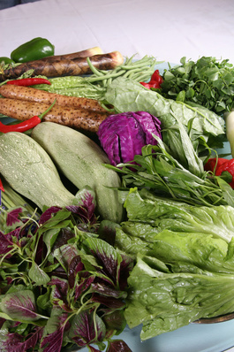 蔬菜大全與水果種植指南