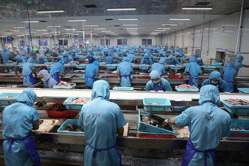 火熱的預(yù)制菜市場(chǎng) 內(nèi)藏海南農(nóng)業(yè)高質(zhì)量發(fā)展的致富密碼