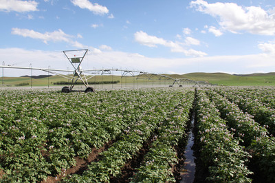 內蒙古農作物良種覆蓋率達98%以上，現代農業發展邁上新臺階