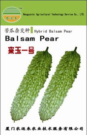 廈門農(nóng)運來農(nóng)業(yè)技術(shù)服務 農(nóng)作物種子與種苗產(chǎn)品列表——水果種植篇