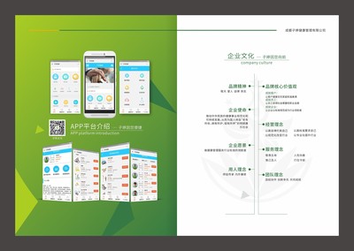 成都健康管理畫(huà)冊(cè)設(shè)計(jì)服務(wù) 專業(yè)咨詢與視覺(jué)呈現(xiàn)的完美結(jié)合