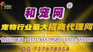 寵物食品行業(yè)新浪潮 線上招商代理與網(wǎng)絡(luò)銷售一體化趨勢(shì)探析